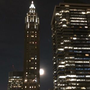 Meet your Posher, Sasha